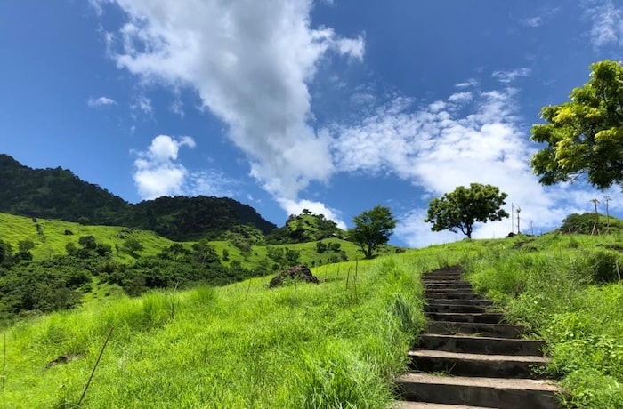 Steintreppe natur bali