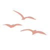 cropped-Flavicon-rosegold.png